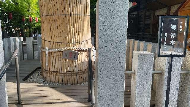 大銀杏御神木 金龍木（田無神社）の参拝記録3