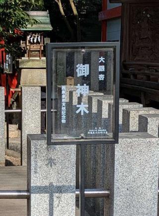 大銀杏御神木 金龍木（田無神社）の参拝記録(🌈🐦‍🔥🐉⛩️ヒロ⛩️🦄🪽✨さん)