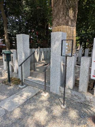 大銀杏御神木 金龍木（田無神社）の参拝記録(はくすみさん)