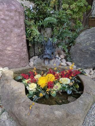 青龍神（田無神社）の参拝記録(ヒロさん)