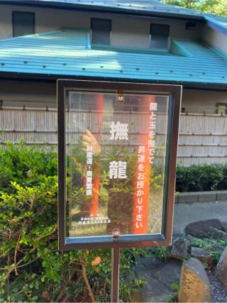 撫龍（田無神社）の参拝記録(⛩️🐍🐢まめ🐢🐍⛩️さん)