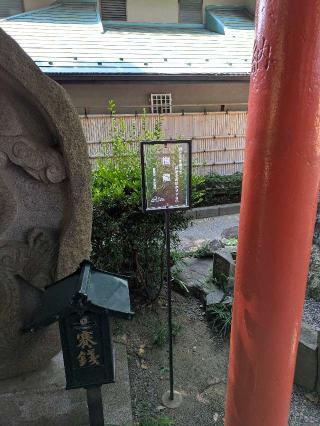 撫龍（田無神社）の参拝記録(はくすみさん)