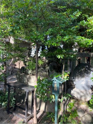 黒龍神（田無神社）の参拝記録(⛩️🐍🐢まめ🐢🐍⛩️さん)