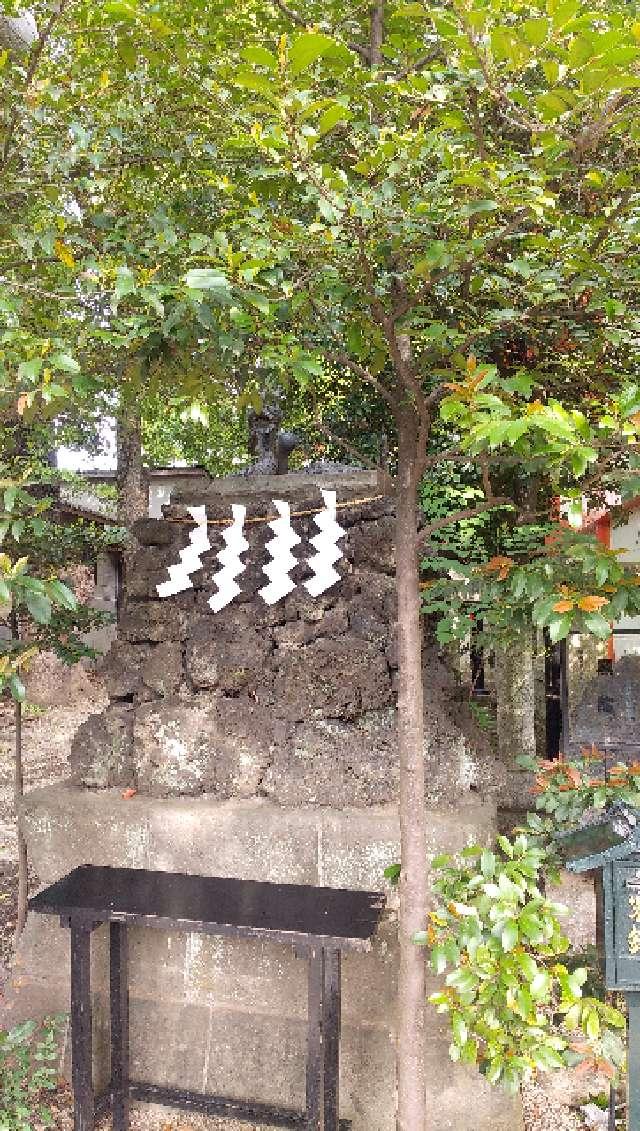 黒龍神（田無神社）の参拝記録2