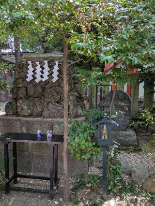 黒龍神（田無神社）の参拝記録(はくすみさん)