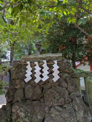 黒龍神（田無神社）の参拝記録(はくすみさん)