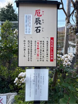 厄辰石（妙義神社）の参拝記録(⛩️🐍🐢まめ🐢🐍⛩️さん)