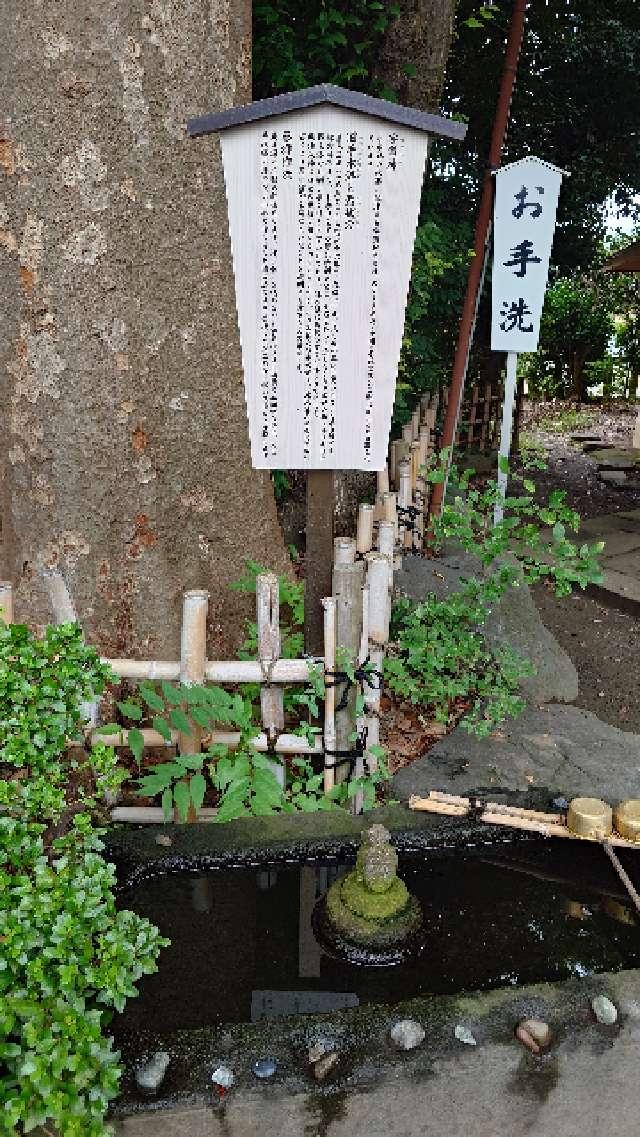 宇賀神（前鳥神社境内社）の参拝記録2