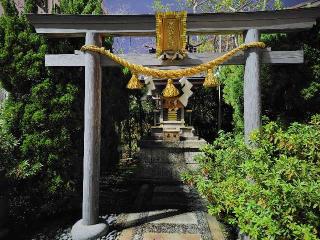 武蔵住吉神社の参拝記録(ロビンさん)