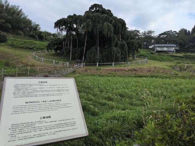 福島県田村郡三春町大字滝字桜久保296 瀧桜神宮の写真2