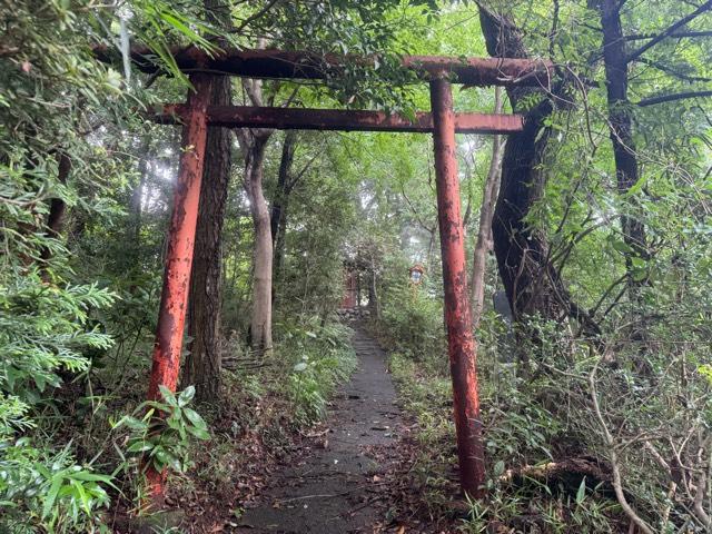 横田子之権現社の参拝記録1
