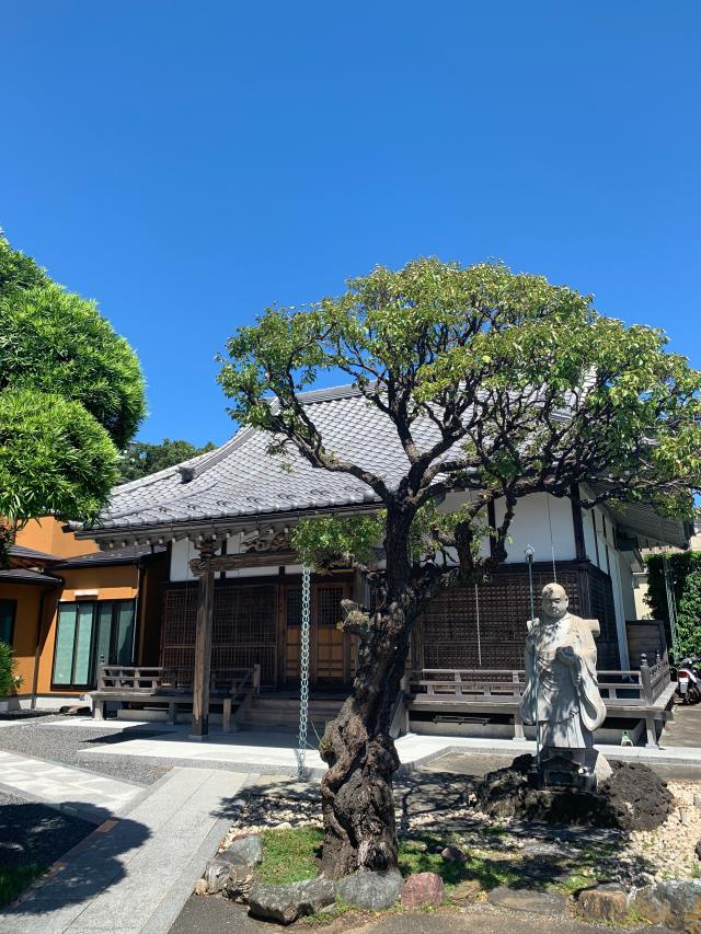 東樹院の参拝記録2