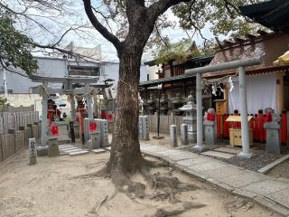 白龍王大神（八王子神社）の参拝記録(ととるしさん)