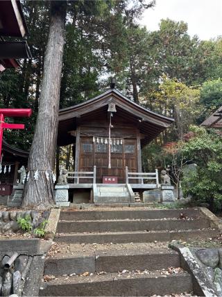 八坂神社（堀口天満天神社境内）の参拝記録(⛩️🐍🐢まめ🐢🐍⛩️さん)