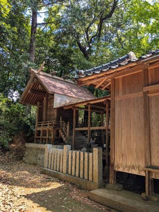 八千鉾神社の参拝記録(こまいぬおさん)