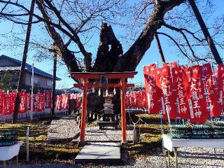 秩父今宮神社の参拝記録(あつさん)