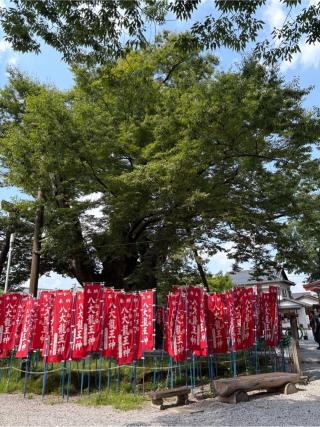 秩父今宮神社の参拝記録(Hacyさん)