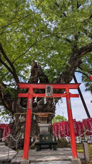 秩父今宮神社の参拝記録(Nさん)