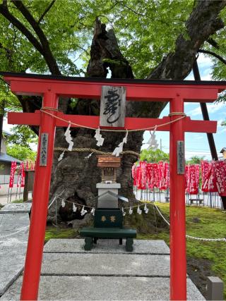 秩父今宮神社の参拝記録(はらけんさん)