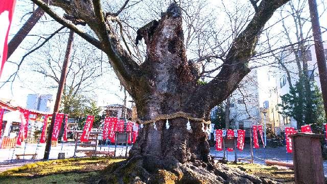 秩父今宮神社の参拝記録6