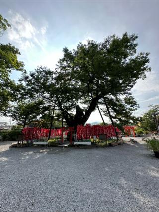秩父今宮神社の参拝記録(牛丼じじいさん)