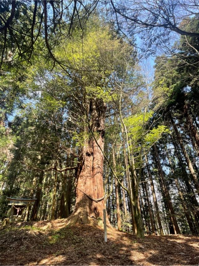 新山神社の参拝記録1