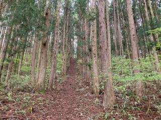 御仮屋稲荷神社の参拝記録(MA-323さん)
