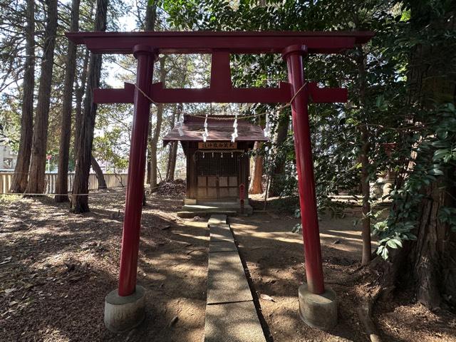 武蔵御嶽神社（天祖若宮八幡宮境内社）の参拝記録2