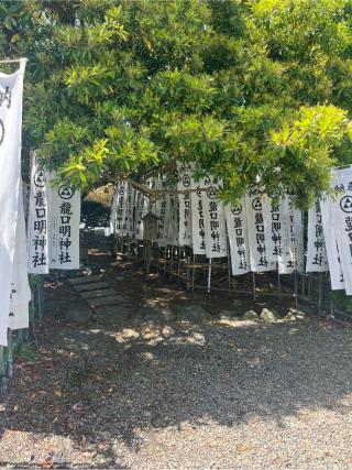 御神木（龍口神明社）の参拝記録(⛩️🐍🐢まめ🐢🐍⛩️さん)