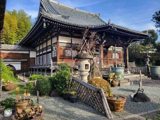 長光山 妙蓮寺の参拝記録(まっきーさん)