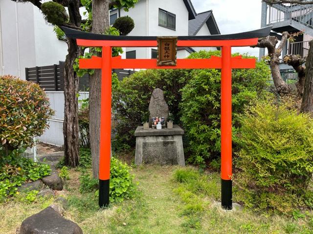 白龍大神の写真1