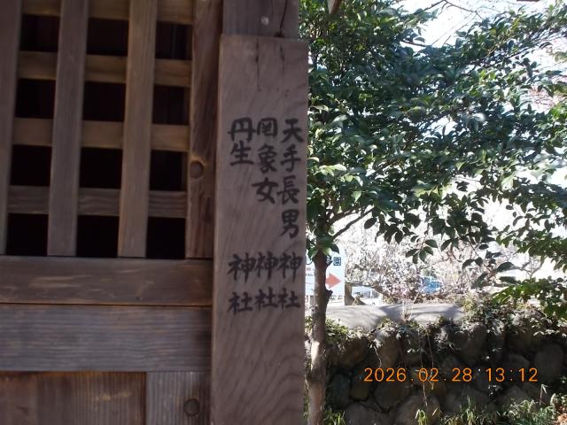 埼玉県寄居町藤田297 天手長男神社の写真2