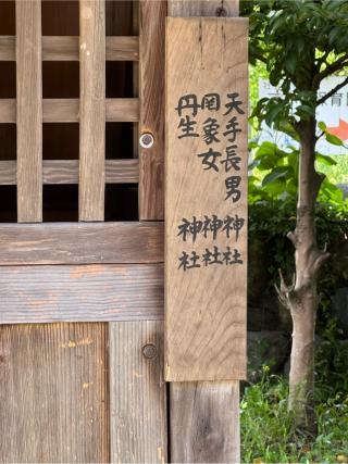 天手長男神社の参拝記録(こーちんさん)
