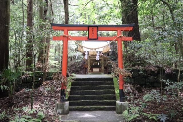 御霊神社の写真1