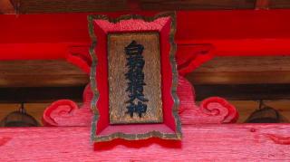 白菊稲荷大明神(鎌達稲荷神社境内摂社)の参拝記録(Y.1966.Sさん)