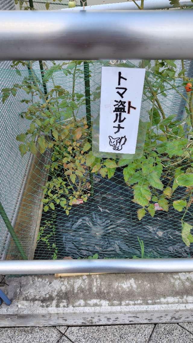 宇田川出世弁財天（北谷稲荷神社境内）の参拝記録1