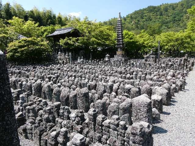 西院の河原の写真1