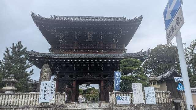 清涼寺 枯山水庭園の参拝記録4