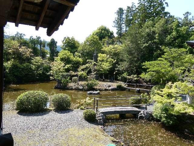 清涼寺 枯山水庭園の写真1