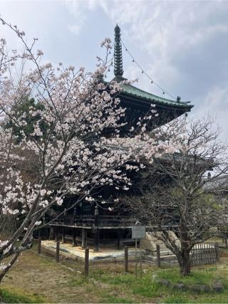 清涼寺 枯山水庭園の参拝記録(senwayさん)