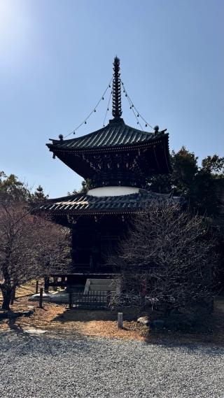 清涼寺 枯山水庭園の参拝記録(いのっちさん)
