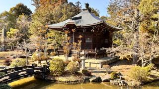 清涼寺 枯山水庭園の参拝記録(いのっちさん)