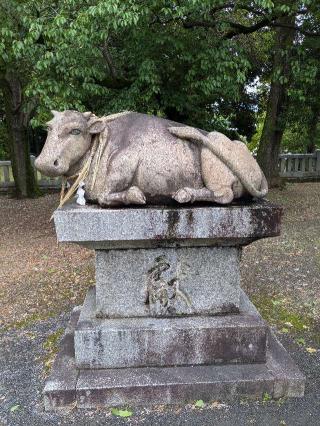 廣旗八幡宮の参拝記録(こまいぬおさん)