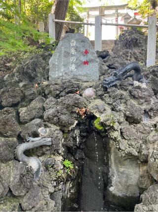 白糸の滝（多摩川浅間神社　境内）の参拝記録(⛩️🐍🐢まめ🐢🐍⛩️さん)