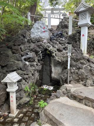 白糸の滝（多摩川浅間神社　境内）の参拝記録(⛩️🐍🐢まめ🐢🐍⛩️さん)