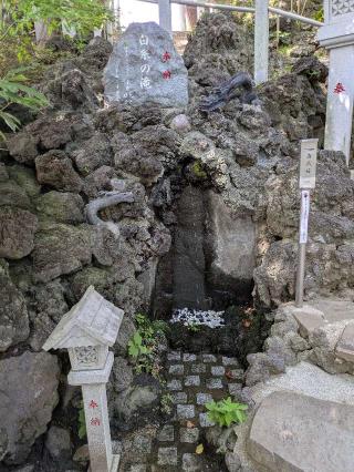 白糸の滝（多摩川浅間神社　境内）の参拝記録(はくすみさん)