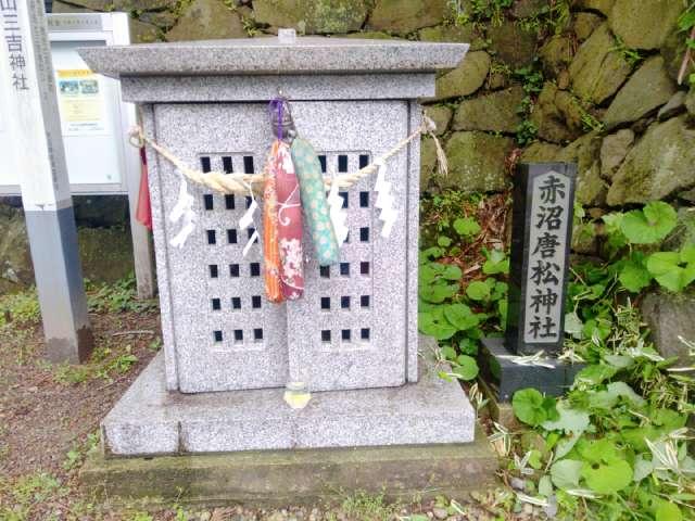 赤沼唐松神社の写真1