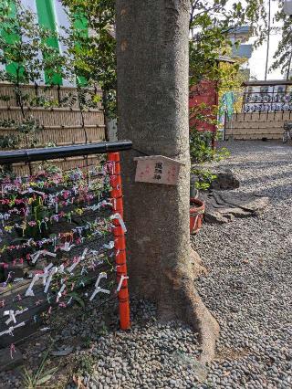 道祖神（田無神社境内）の参拝記録(ヒロさん)