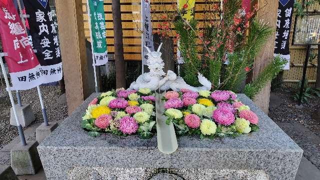 手水舎 白龍の水（田無神社）の参拝記録2