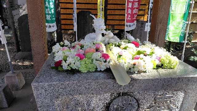 手水舎 白龍の水（田無神社）の参拝記録2